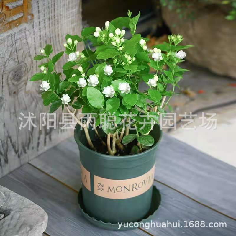 627ed8b3b6c1112504dcfa25156ca6