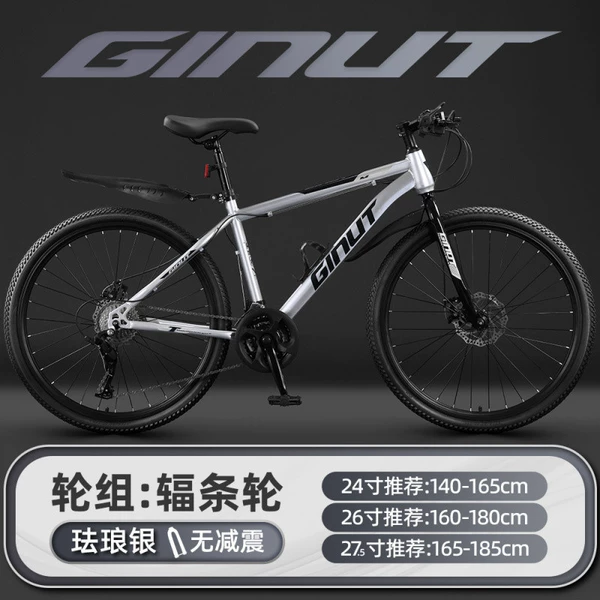 Enamel, base bike spokes, steel frame