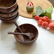 椰子碗博主网红ins麦片碗水果酸奶沙拉碗儿童碗家用椰子壳碗泡面