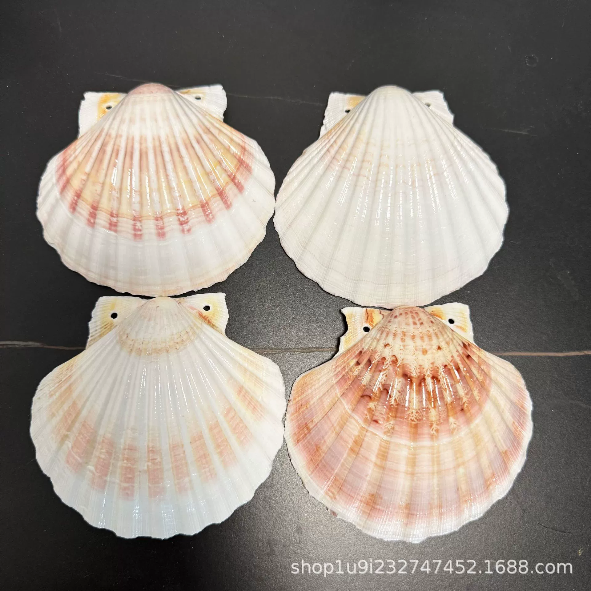 爱贝来 Ins Feng Natural Shell Loose Leaf Manual Punching Shell DIY Shell Photo Album Shell Book