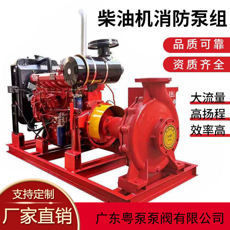 Diesel engine fire pump customized with controller
