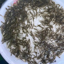 ���|����~��ˮ�~���a�~���~���~ι����ι���ǰ��������N����w�~