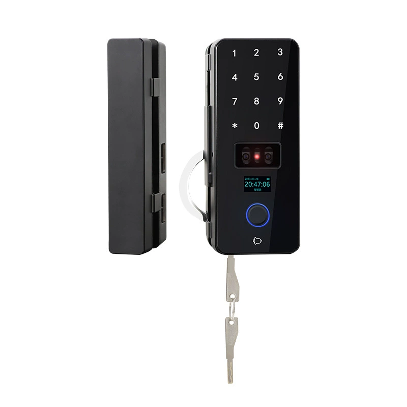 Commodity metal smart lock face recognition fingerprint Code Code Tyrannosaurus Office glass door fingerprint lock