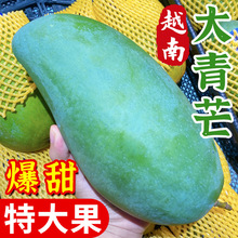 新鲜越南大青芒10斤芒果水果金煌芒青皮大果应季热带云南当季特产