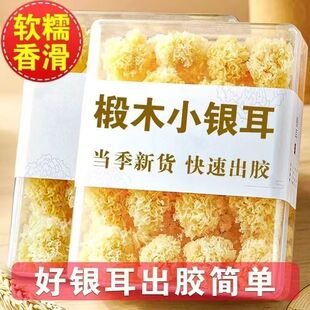 �L��ɽ�ľС�y����؛���ؼ�Ұ����ľ��鲘�С��ѩ�����Ŵ�|��