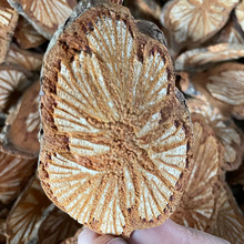 ��Ѫ����ș���XѪͨ�t��Ѫͨ�t��Ƭ���ٴ�Ѫ���廨Ѫͨɢ�b��؛��