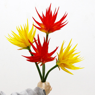 �羳�ָл�����ֲ��ܛ�z�ָд󻨻��P���辰�b��ҾӲ廨�ٻ��b�