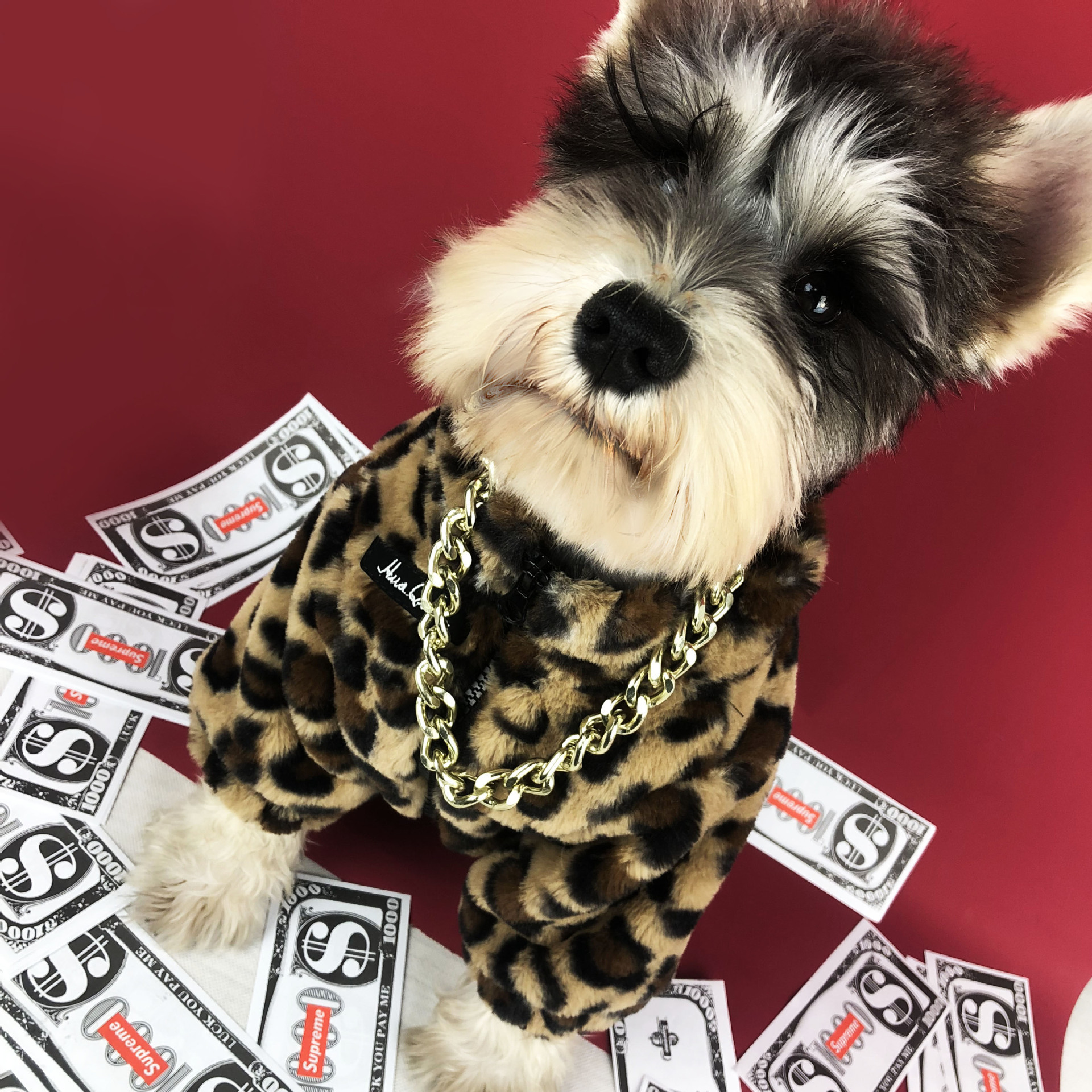 Dog Coat Image 1