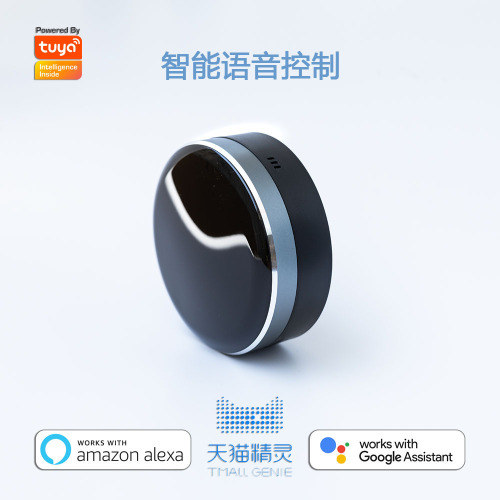 Doodle Smart WiFi+Bluetooth Module RF 433+315IR Infrared Voice Remote Control Universal Remote