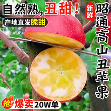 云南昭通苹果冰糖心丑苹果10斤新鲜水果红富士圣诞平安果整箱包邮