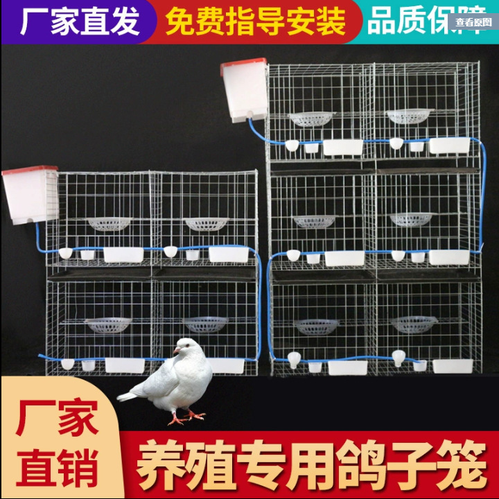 大号鸽子笼家用鸽棚鸽子笼网鸽子笼子家用养殖鸽子繁殖笼跨境一件|undefined