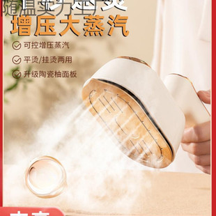 Chigo hand-held steam ironing machine ironing machine household small electric iron ironing clothes artifact portable iron