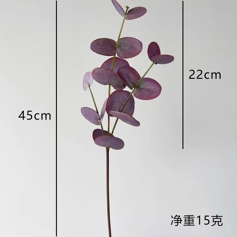 Eucalyptus Red mang lại cảm giác cao cấp