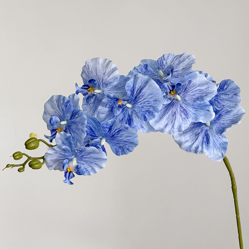 블루 호접란 9개 머리 엠보싱