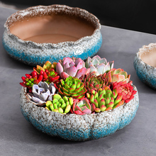 ���⻨���ڏ��մɼ��ö���ֲ��ƴ�P�͹������Ϙ�͸��С�莧�бP