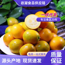 �V����Ƥ��� ���l1/5�����r������ˮ��С�۽������̼���С���