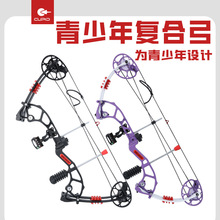 厂家批发弓箭射箭器材青少年入门复合滑轮弓户外箭馆比赛训练可用