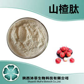 山楂肽98%  沐菲生物  另有 山楂果粉   山楂提取物 浸膏