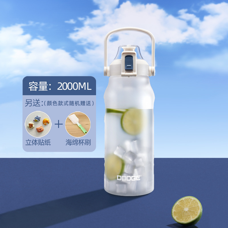 2025新款水杯大容量便携磨砂塑料杯子儿童吸管耐高温学生运动中式|undefined
