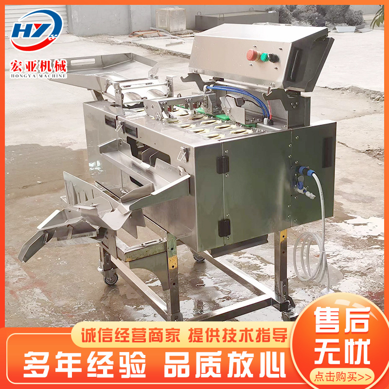 仿人工连续敲蛋机 双排蛋清蛋黄分离机厂家 蛋糕烘焙用打蛋机