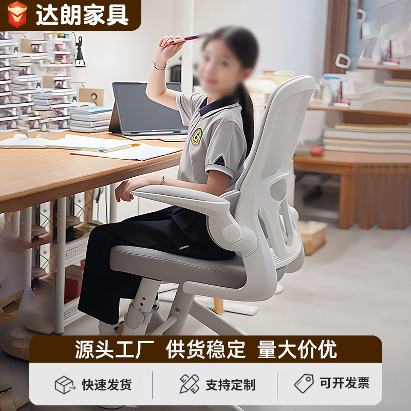 Computer Chair, Adjustable Mesh Chair, Comfortable Home Dormitory Desk Chair, Long-Sitting Chair for Teenagers, Primary and Secondary School Students Computer Chair, Adjustable Mesh Chair, Comfortable Home Dormitory Desk Chair, Long-Sitting Chair for Teenagers, Primary and Secondary School Students