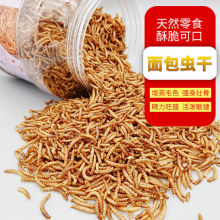 面包虫干芦丁鸡鸭银龙鱼龟食物鹦鹉八哥仓鼠高蛋白虫喂鸡厂家跨境