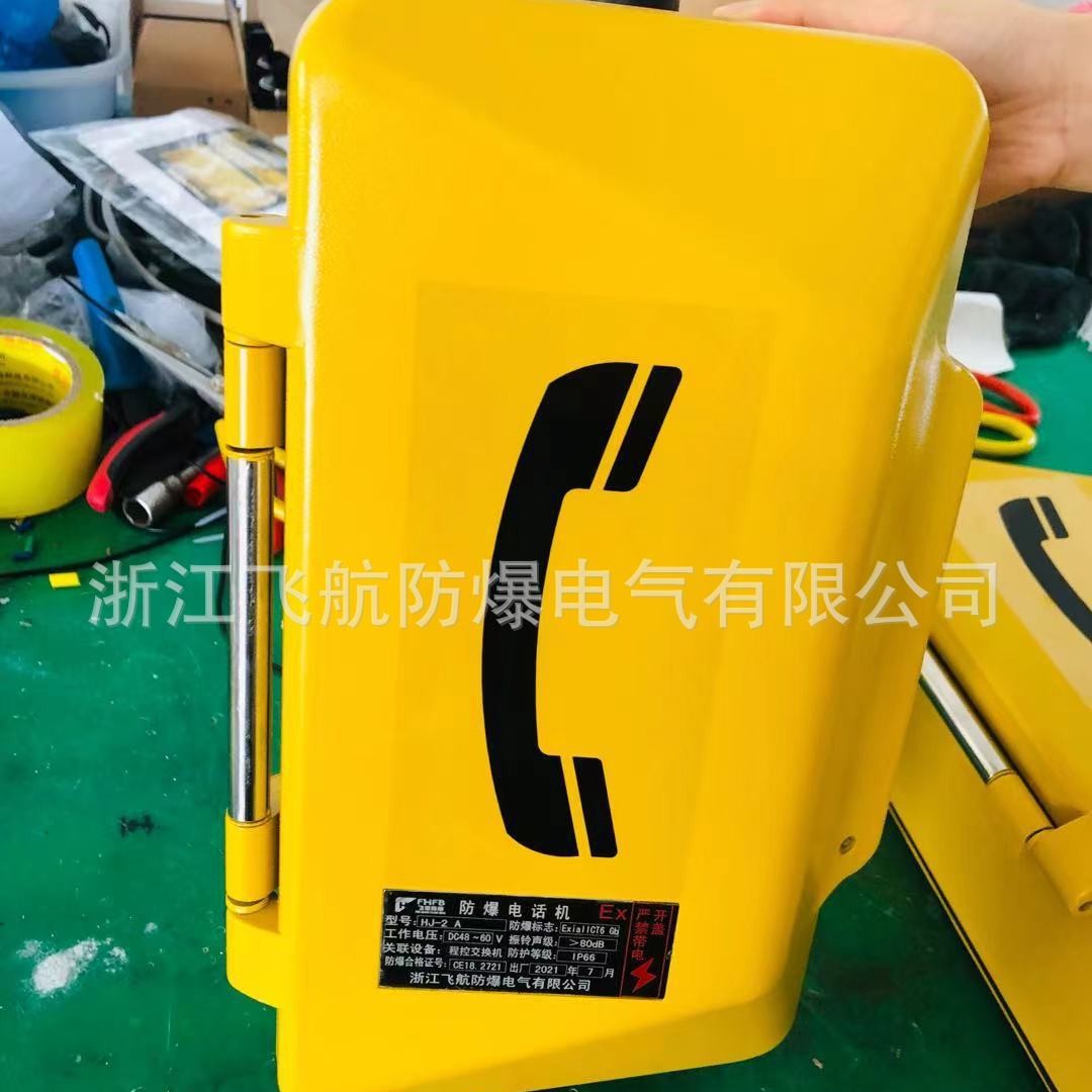 防爆话站隧道管廊抗噪扩音电话 石油库化应急喊话广播话站