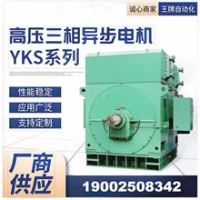 廠家生產高壓電機 YKS系列高壓三相異步電機 三相異步電動機
