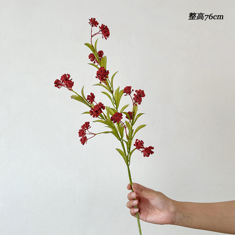 1枝红色3杈地心果