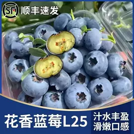 苹果;梨;瓜果类