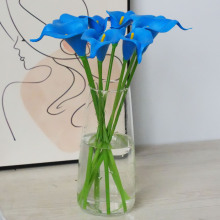 羳؛ԴRɏ滨PUָбcˇ҃bٻl