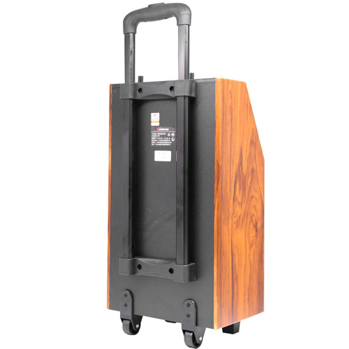 Xinfei A05 square dance video audio outdoor trolley speaker with 13-inch display screen with wireless microphone Bluetooth