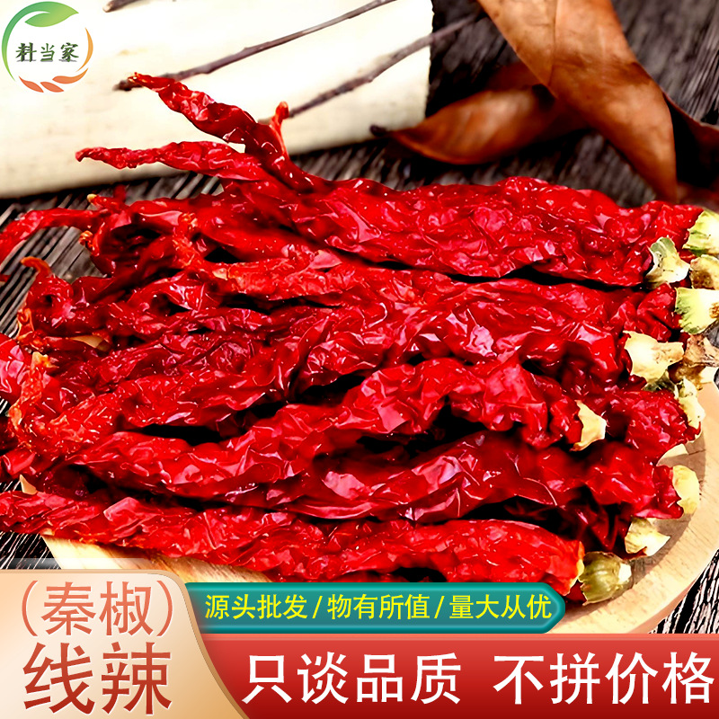 秦椒线辣500g皱皮椒微辣提香红油辣子二荆条贵州线辣椒