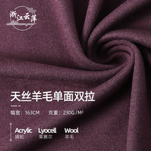 汗布双拉面料打底休闲保暖莱赛尔布料色织天丝羊毛
