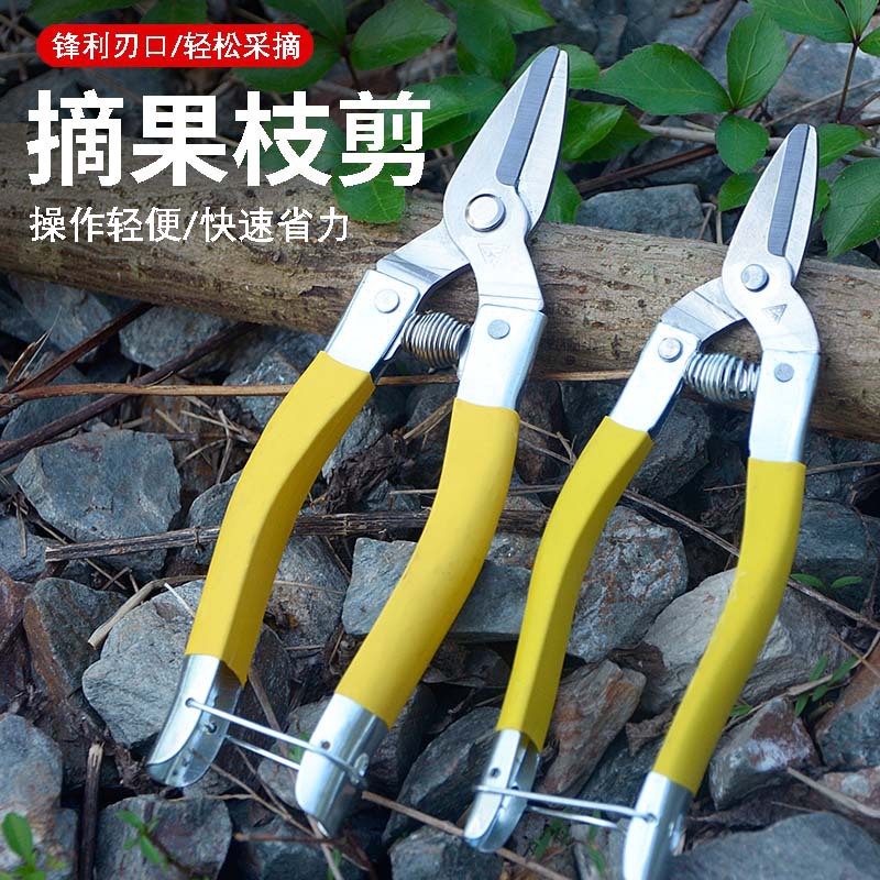 不锈钢剪刀树枝防滑柄修枝剪刀摘果剪园艺园林剪刀采柑桔剪蔬果剪