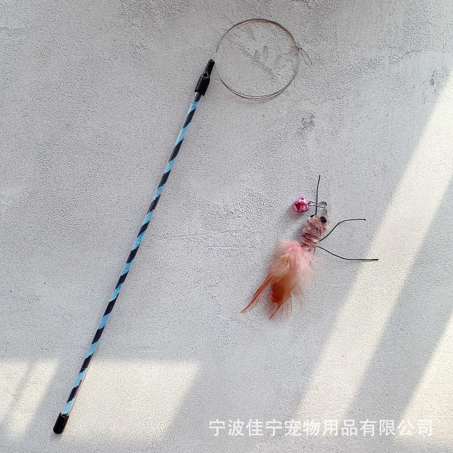 IMG_5784(20221208-142219)