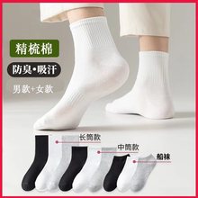 �m����ʿ���������ļ���Ͳ͸���ɫŮ�m���m�������T�߾����޶��m