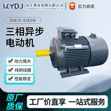 YVF2׃�l�{��늙Cȫ�~о5.5/7.5/11/15/90KW IE4 �S��ֱ�������