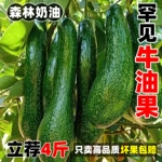 长条牛油果新鲜4斤罕见水果鳄梨应当季即食宝宝辅食大果孕妇包邮