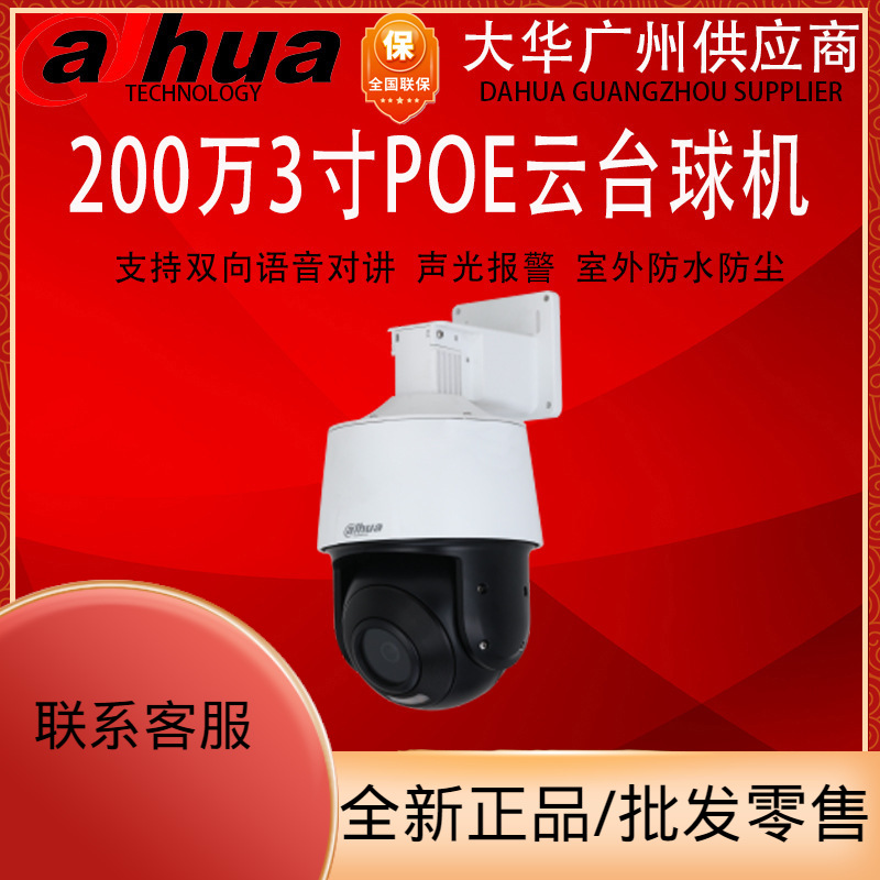 大华200万双光全彩POE球机室外彩色防水数字球DH-SD3200-ADP-PV-i