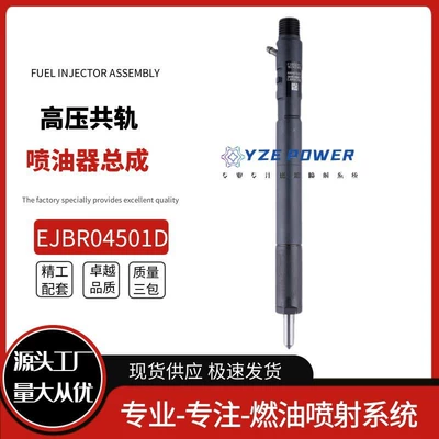 Injector Assembly of Korean – Oil pump, nozzle