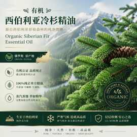 有机西伯利亚冷杉精油俄罗斯产区精油按摩精油原料工业取样使用