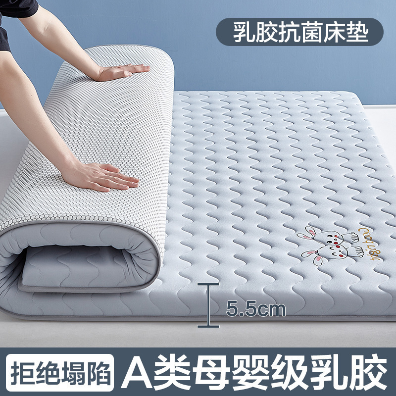 乳胶记忆棉床垫软垫家用卧室榻榻米加厚学生宿舍单人租房睡垫|undefined