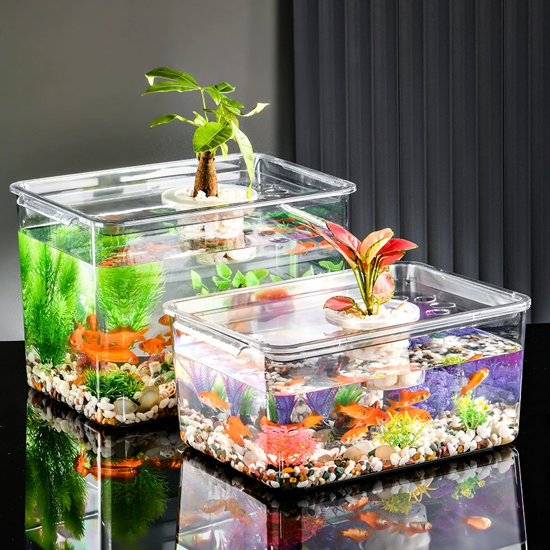 Микроландшафтный аквариум офисный столешница украшение экологический аквариум ландшафтный украшения аквариум прозрачное растение экологический аквариум черепахи