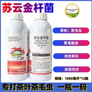 ��䌣�Ú��x���K녽�U����С�G�~�s�������xëë�x�׷�ʭ���x