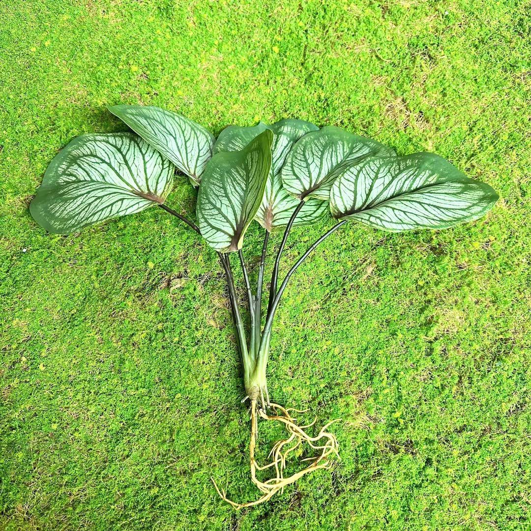 Fairy Cave tortuga hoja sentir arreglo floral hoja material planta esquina ventana belleza paisaje decoración artificial planta verde mango haz