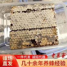 农家自产新鲜成熟跑江湖蜂巢蜜500g瓶盒装蜂窝蜜整张批发蜂蜜峰巢