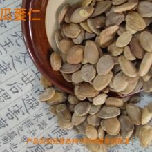 ��ș�Ĺ��V�� ���V�� ���V�� ���x ���w�����l