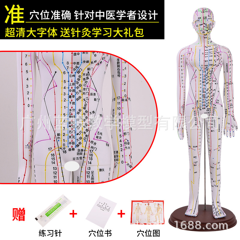 �������ģ���˾���Ѩλ��ҽȫ��ʮ��ͭ��ģ��ͼ��������ϰСƤ��