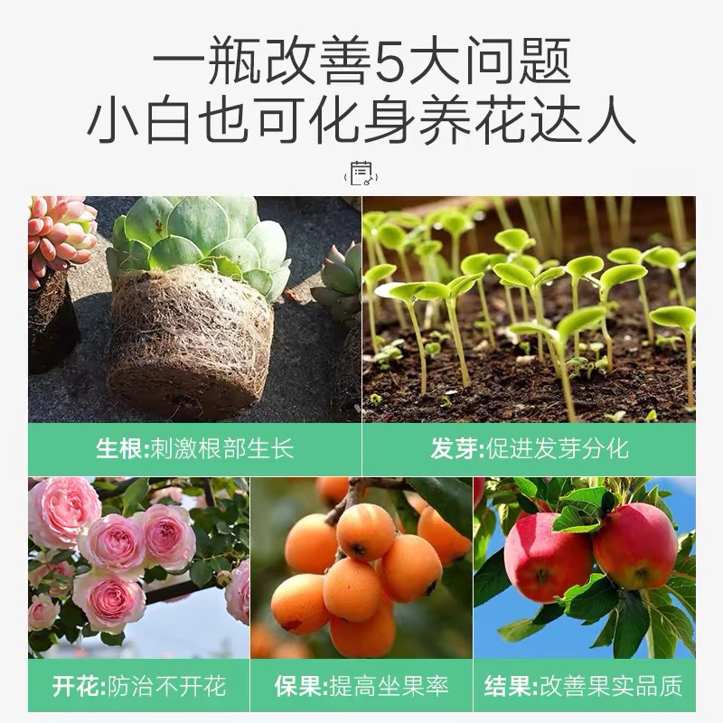 リン酸二水素カリ肥料、特殊葉面肥料、植物農業用花肥料、花栽培用水溶性肥料、土壌栄養植栽|undefined